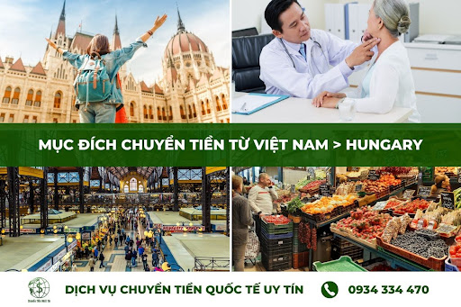 Các mục đích chuyển tiền từ Việt Nam sang Hungary